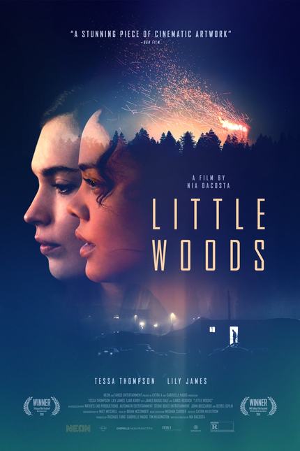 Review: LITTLE WOODS, Risky Navigation of an Uncaring System